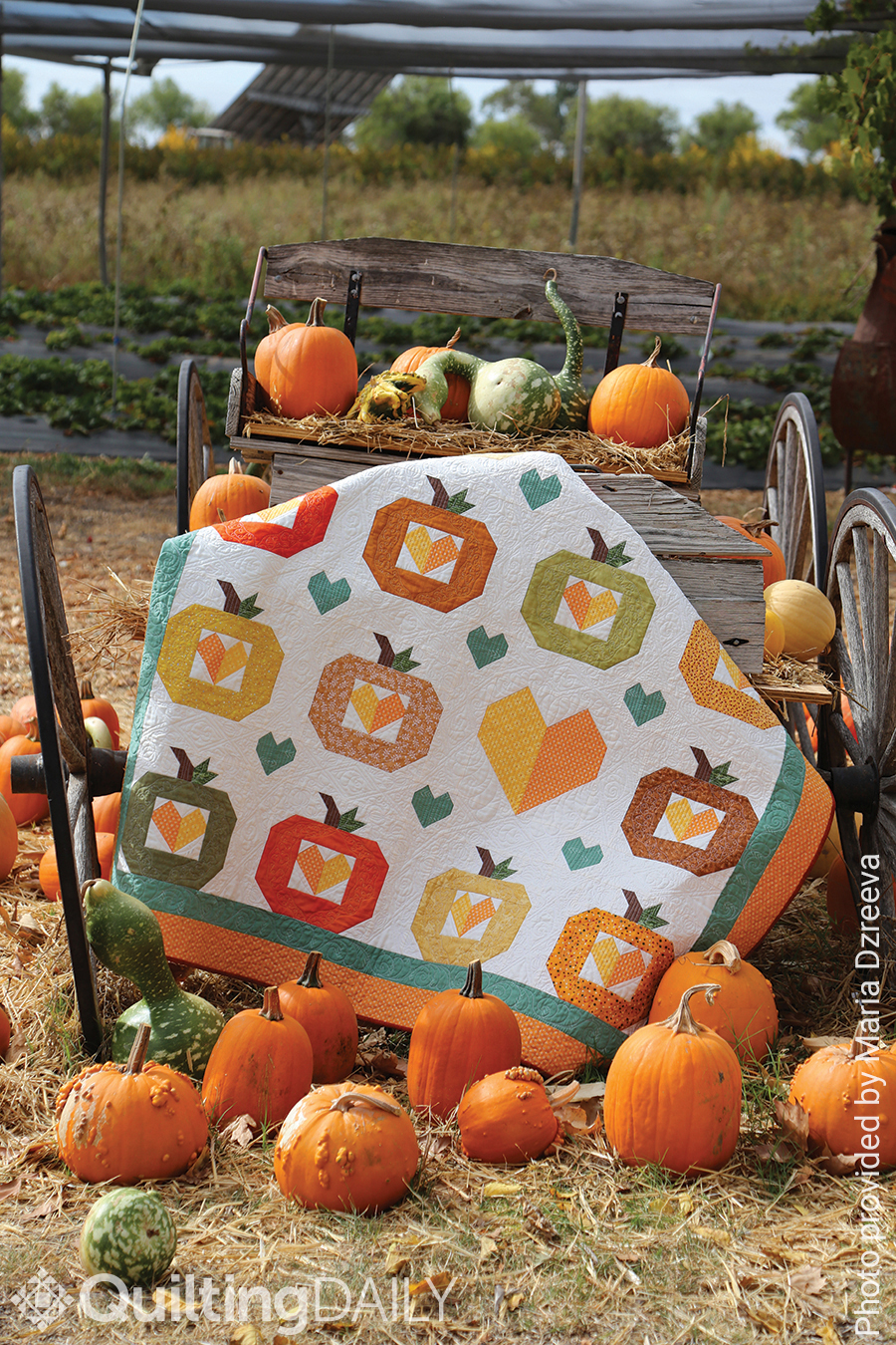 Free quilt pattern: Harvest Time - full view of the quilt surrounded by pumpkins